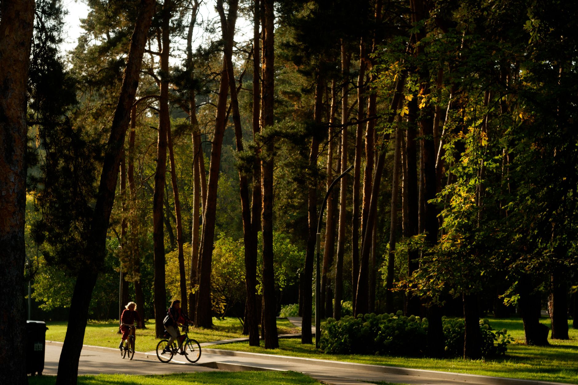 Spokojny park z ludźmi spacerującymi i ćwiczącymi na świeżym powietrzu